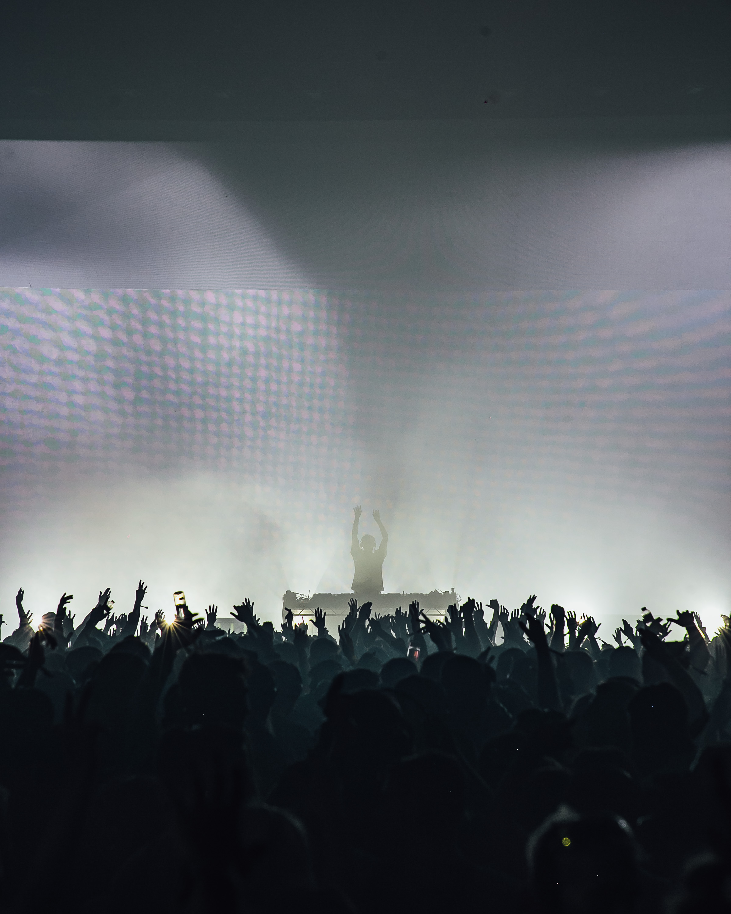 Magnificence Live